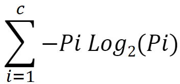 entropyFormula